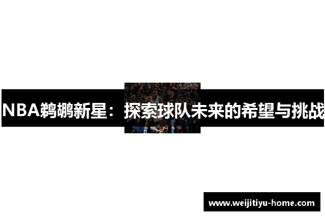 NBA鹈鹕新星：探索球队未来的希望与挑战