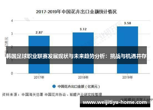 韩国足球职业联赛发展现状与未来趋势分析：挑战与机遇并存