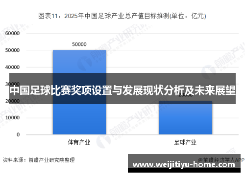 中国足球比赛奖项设置与发展现状分析及未来展望