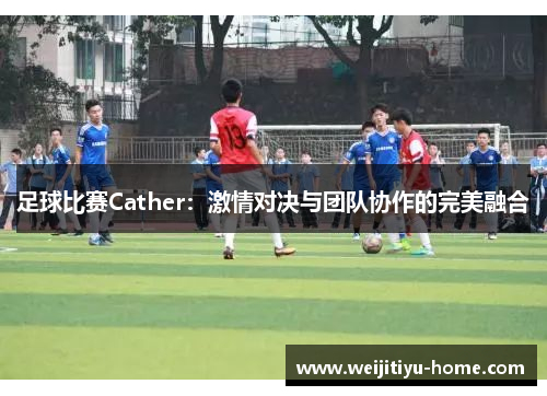 足球比赛Cather：激情对决与团队协作的完美融合