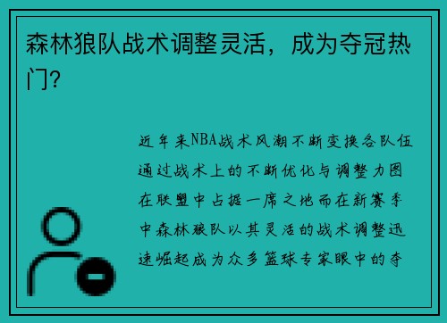 森林狼队战术调整灵活，成为夺冠热门？